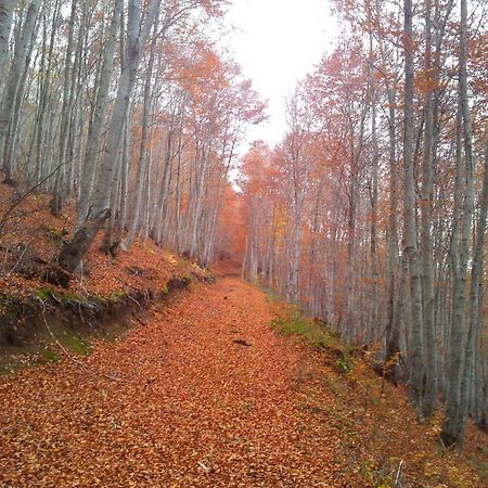 Apartamentos Turisticos Real Valle Ezcaray Сорракин Экстерьер фото